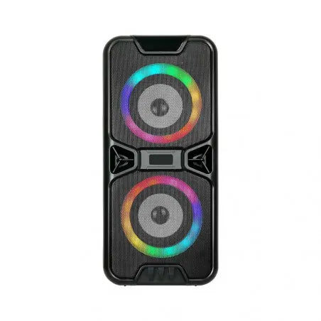 2x10W Презаредима Тон Колона USB TFSlot RGB 2x4 inch